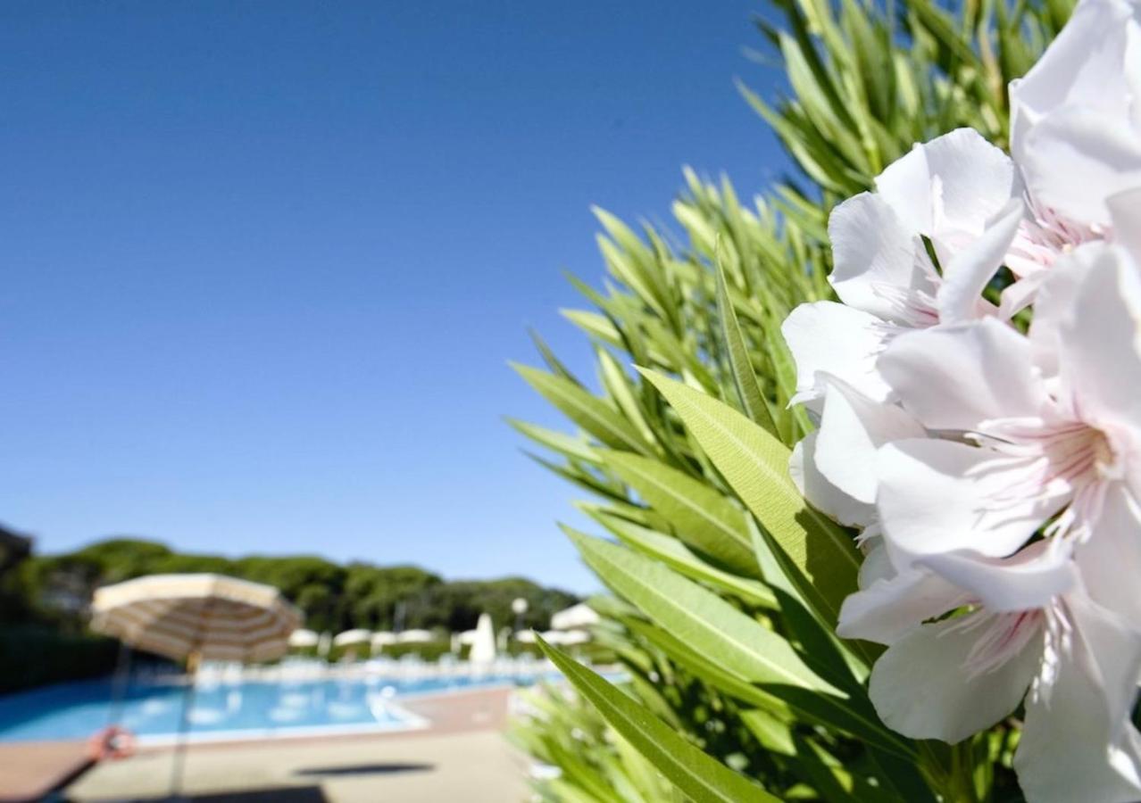 Isa-Apartments 4 Beds In Residence With Swimming-Pool In San Vincenzo, Just 600 Meters From The Sea Экстерьер фото